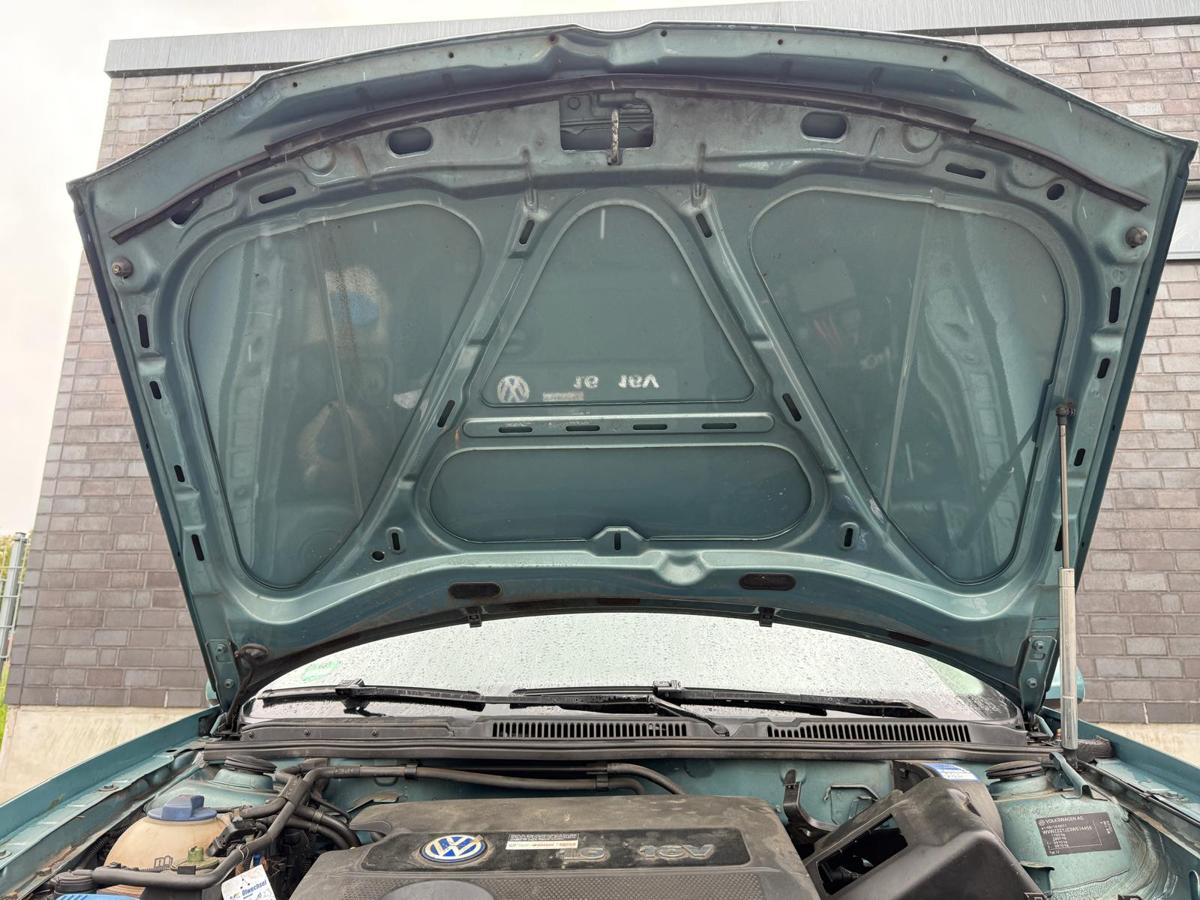 VW Golf 4 original Motorhaube LB6N Elegancegrün Metallic BJ03